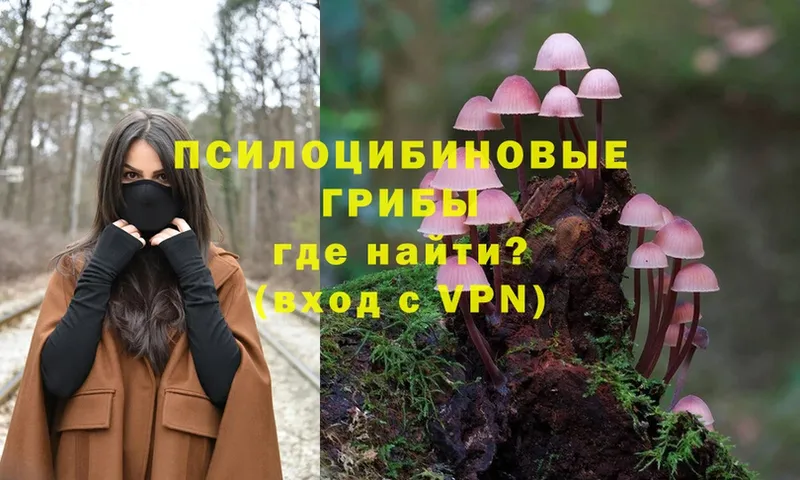 Галлюциногенные грибы Magic Shrooms  Бахчисарай 