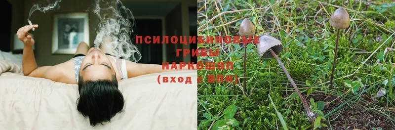 Галлюциногенные грибы Magic Shrooms  купить наркоту  Бахчисарай 